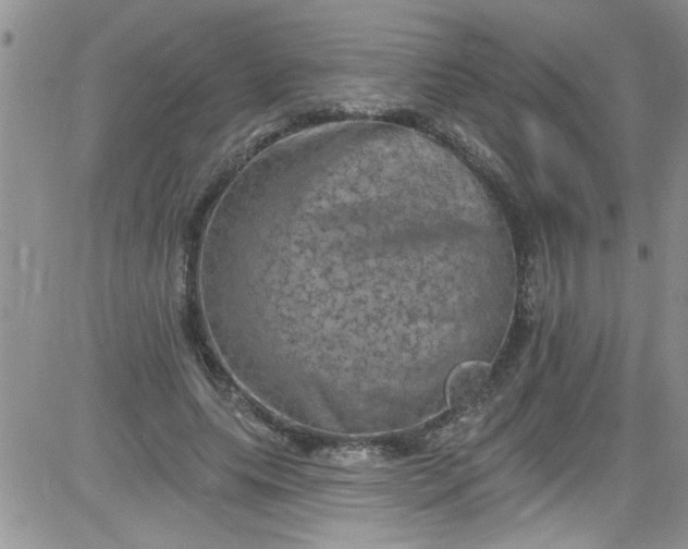 X0000084050639200703022216