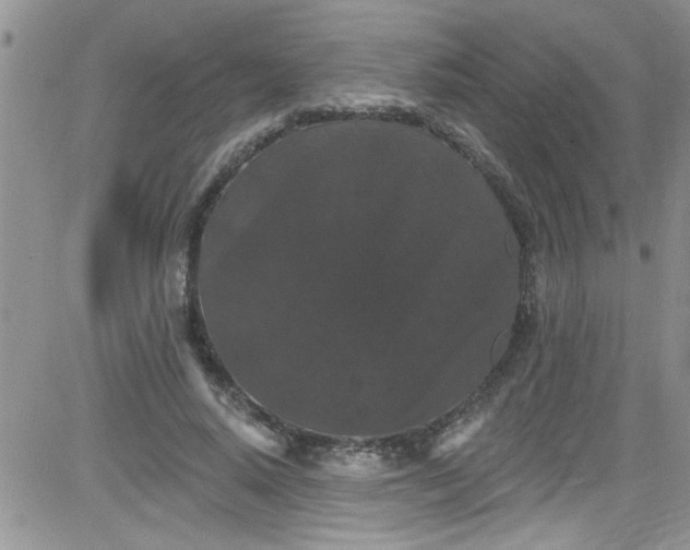 X0000084050640200703022216