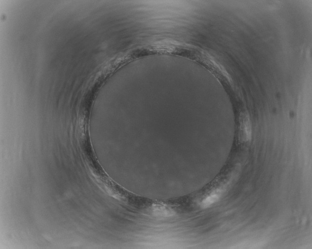 X0000084050641200703022216