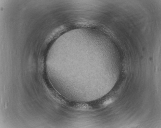 X0000084050642200703022216