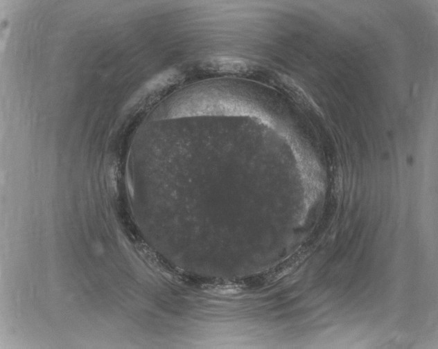 X0000084050643200703022216