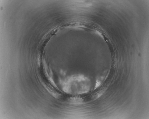 X0000084050644200703022216