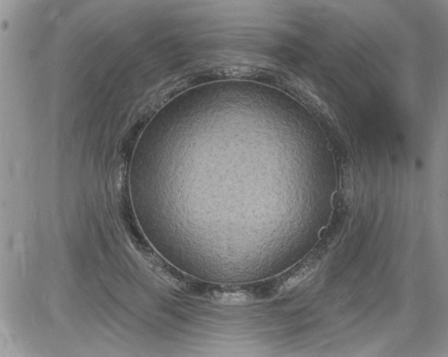 X0000084050645200703022216