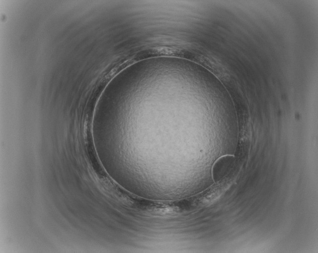 X0000084050646200703022216