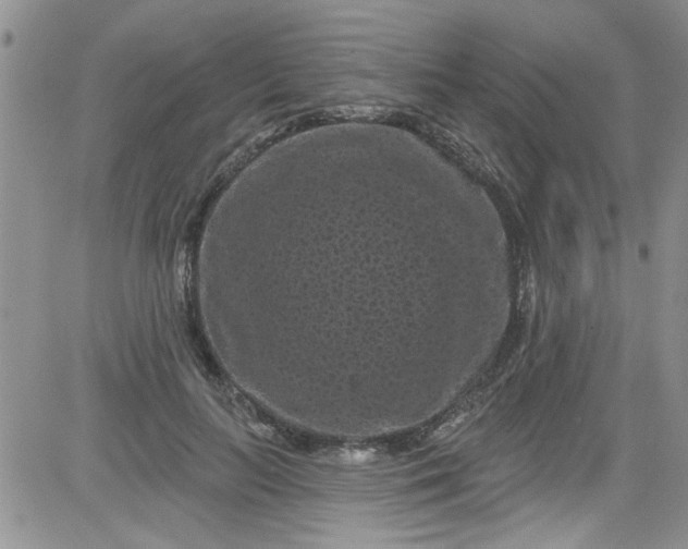 X0000084050647200703022216