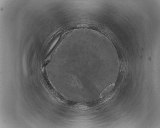 X0000084050648200703022216