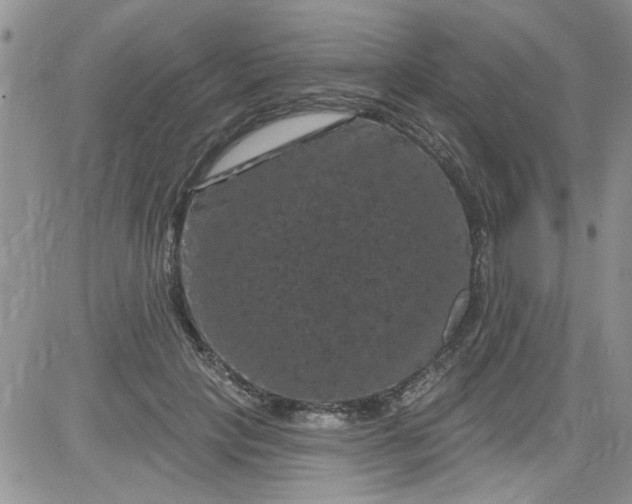 X0000084050649200703022216