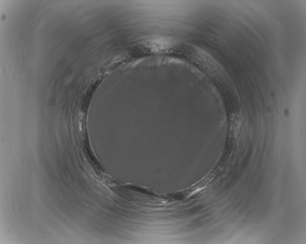 X0000084050650200703022216