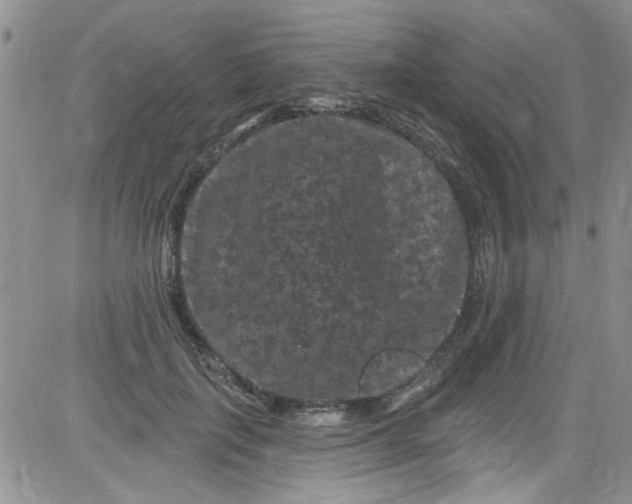 X0000084050651200703022216