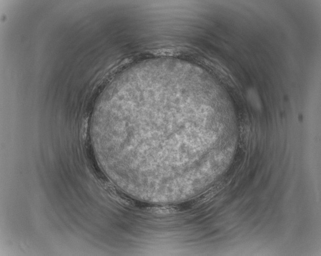 X0000084050652200703022216