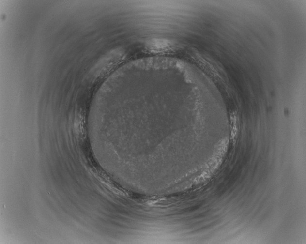 X0000084050653200703022216