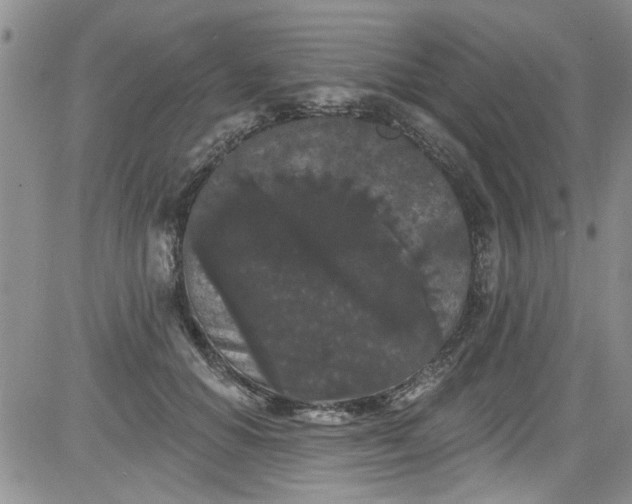 X0000084050654200703022216