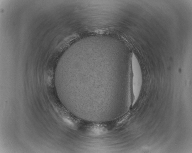 X0000084050656200703022216