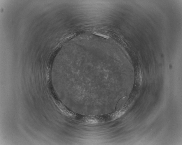 X0000084050658200703022216