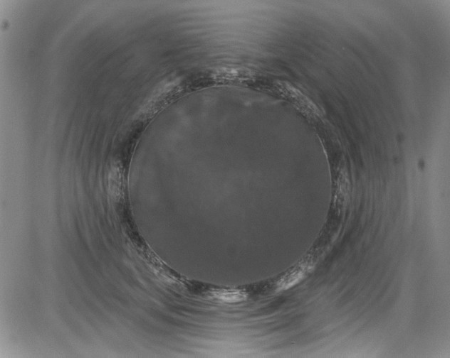 X0000084050659200703022216