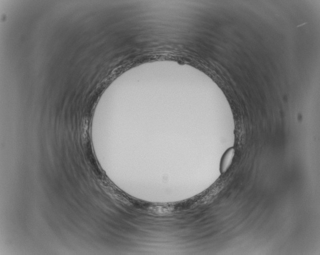 X0000084050660200703022216