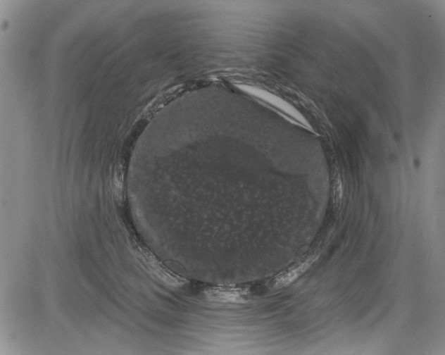 X0000084050661200703022216