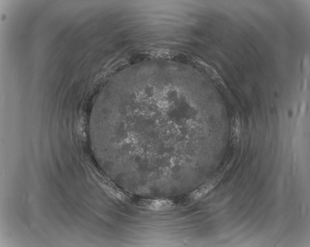 X0000084050663200703022216