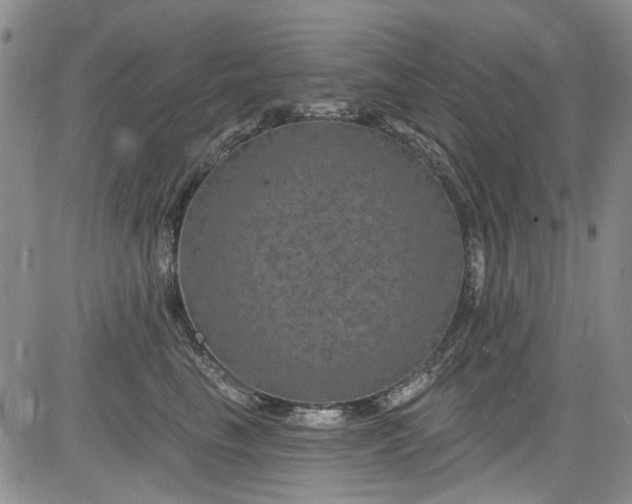 X0000084050665200703022216