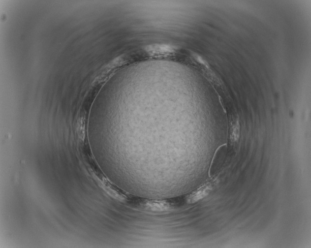 X0000084050666200703022216