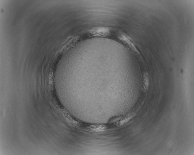 X0000084050667200703022216