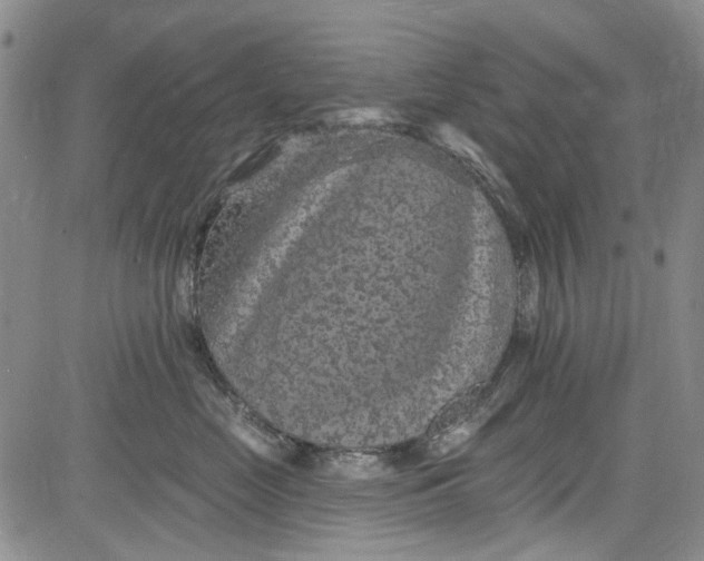 X0000084050669200703022216