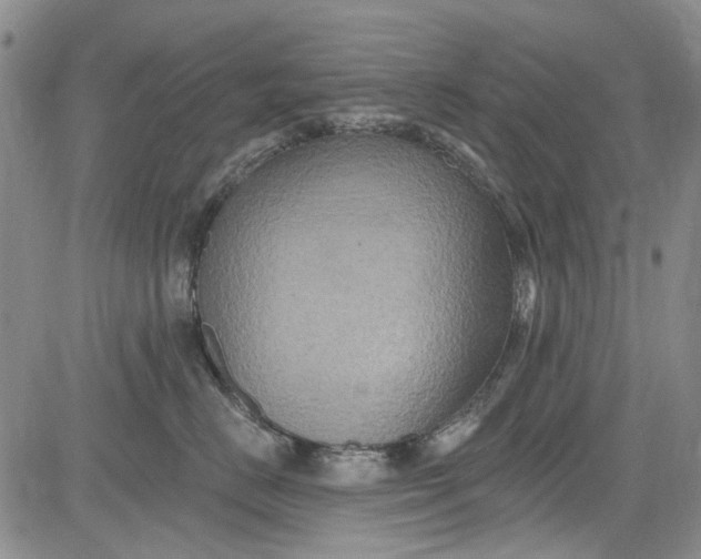 X0000084050670200703022216