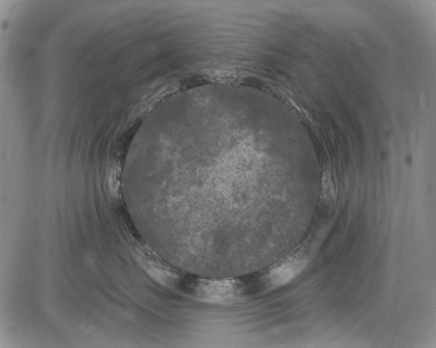 X0000084050671200703022216