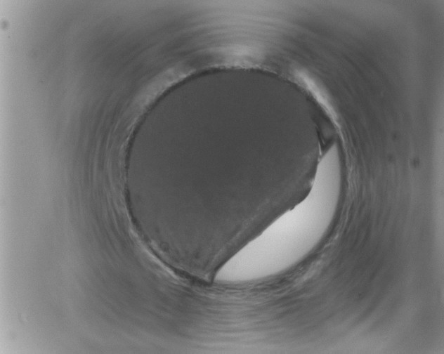 X0000084050673200703022215