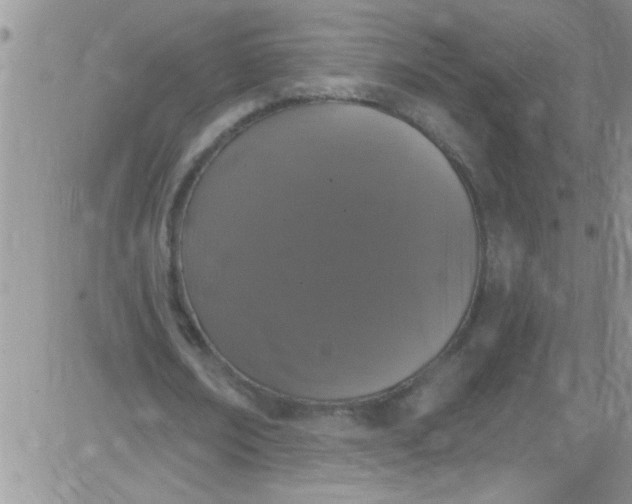 X0000084050674200703022215