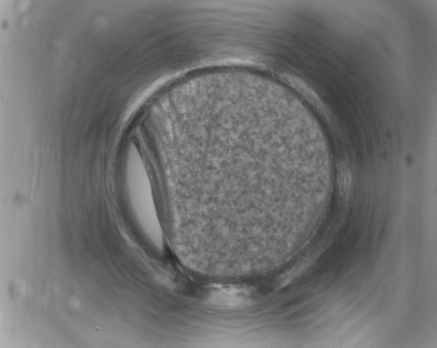 X0000084050676200703022215