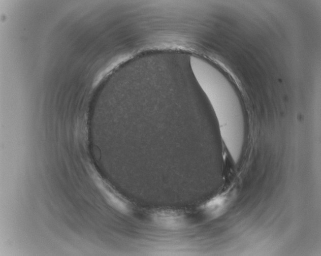 X0000084050677200703022215