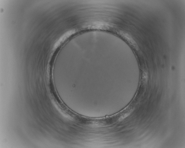 X0000084050678200703022215