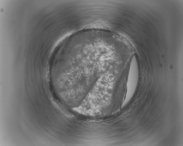 X0000084050680200703022215