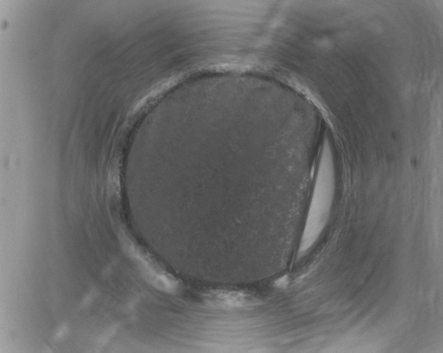 X0000084050681200703022215