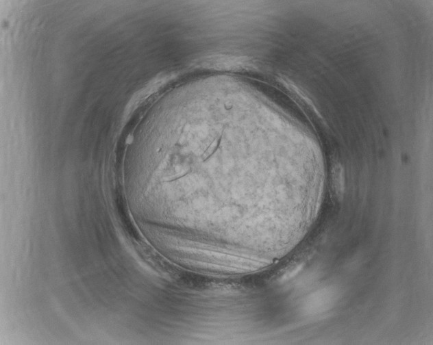 X0000084050682200703022215