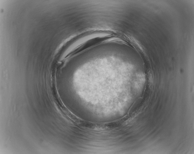 X0000084050684200703022215