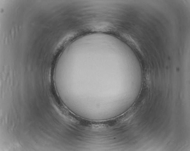 X0000084050686200703022215