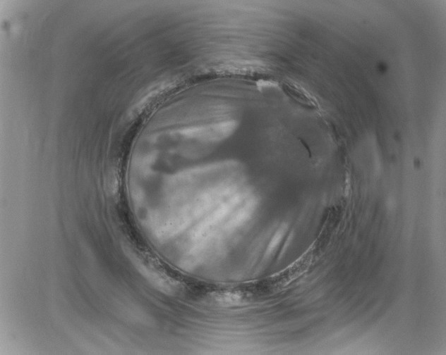 X0000084050687200703022215