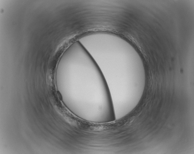 X0000084050688200703022215