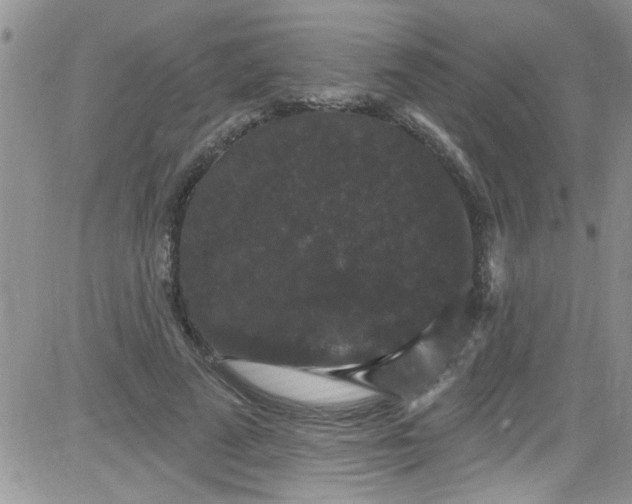 X0000084050689200703022215