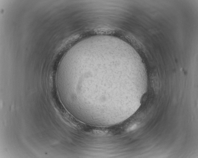 X0000084050690200703022215