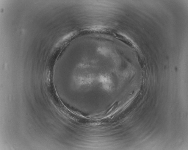 X0000084050692200703022215