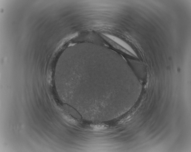 X0000084050693200703022215