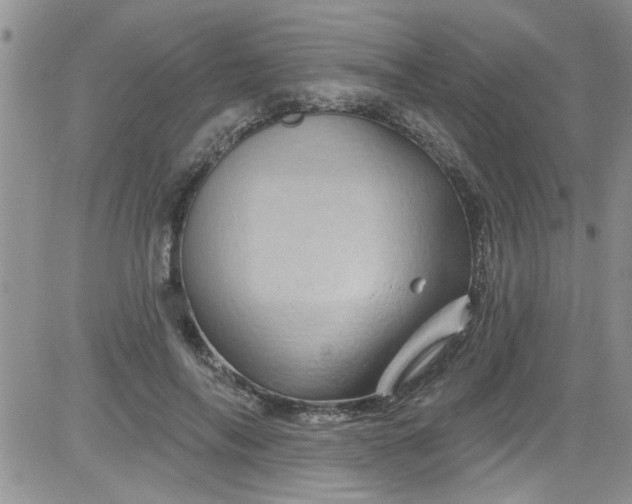 X0000084050694200703022215