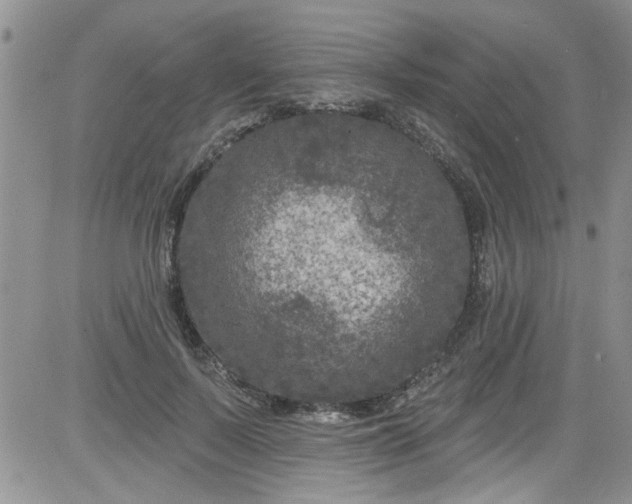 X0000084050695200703022215