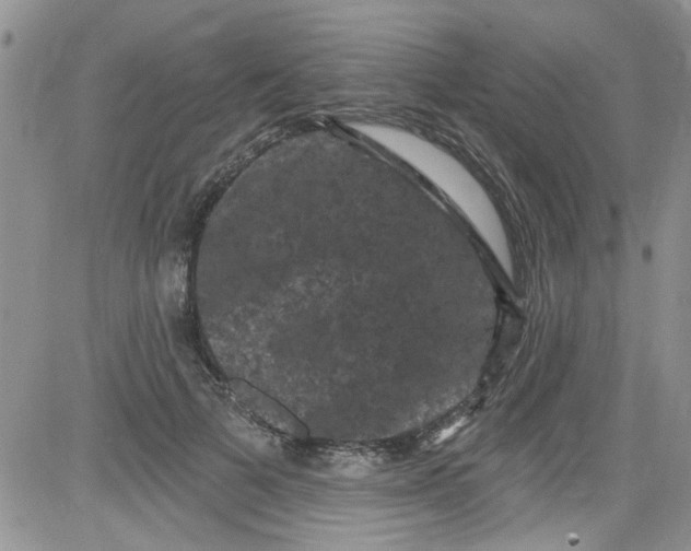 X0000084050697200703022215