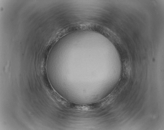 X0000084050698200703022215