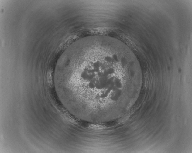 X0000084050699200703022215