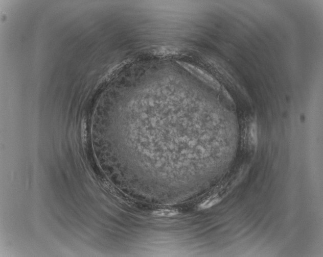 X0000084050700200703022215